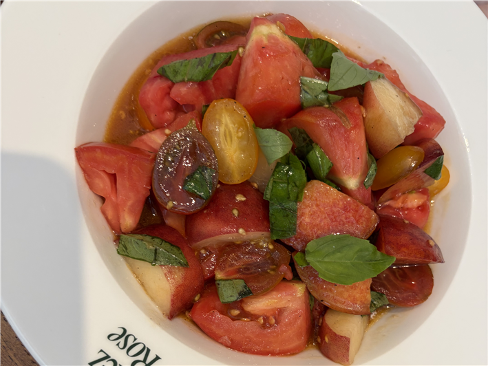 tomato starter